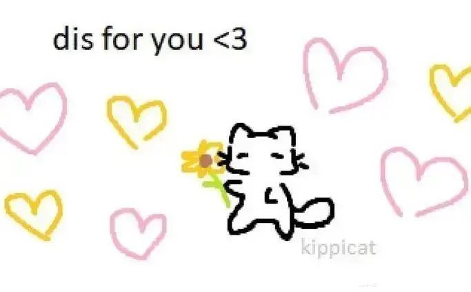 cute cat