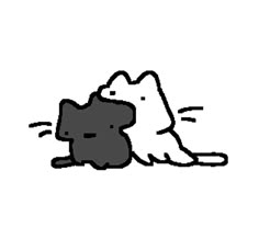 cute cat
