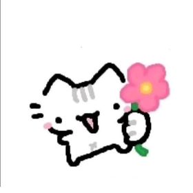cute cat