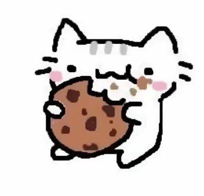cute cat