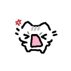 cute cat